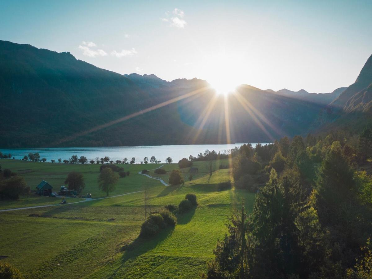 Rozic Bohinj